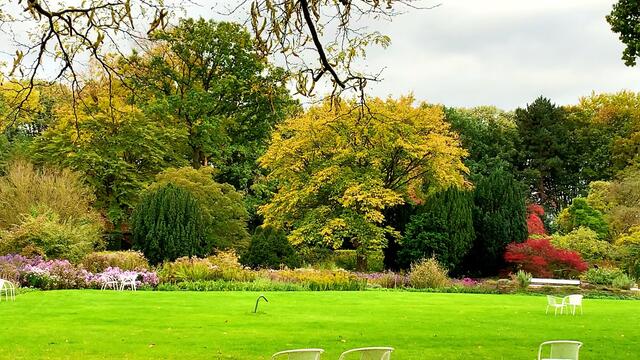 15. Oktober 2020. Rundgang im Stadtpark I. in Hannover am Congress Centrum. Bleibt gesund!
