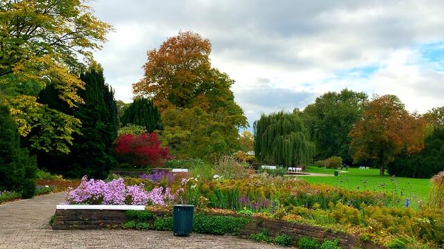 15. Oktober 2020. Rundgang im Stadtpark I. in Hannover am Congress Centrum. Bleibt gesund!