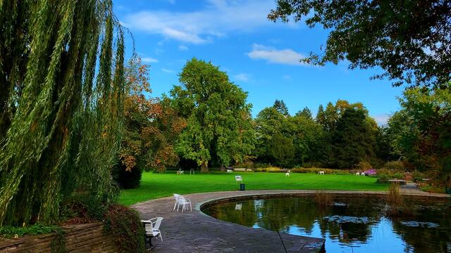 15. Oktober 2020. Rundgang im Stadtpark II. in Hannover am Congress Centrum. Bleibt gesund!
