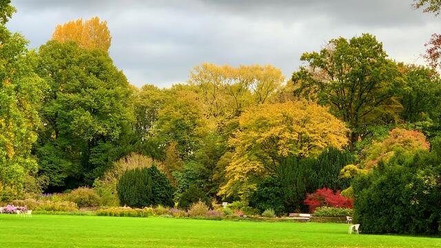 15. Oktober 2020. Rundgang im Stadtpark I. in Hannover am Congress Centrum. Bleibt gesund!