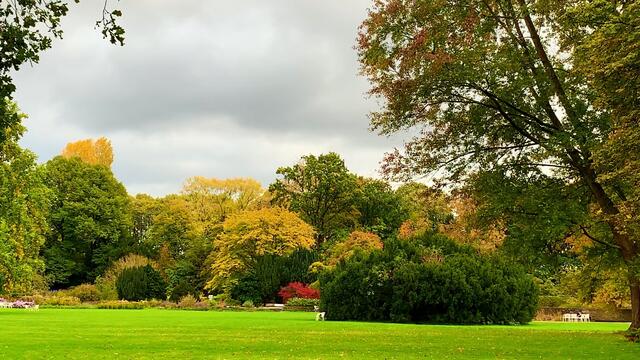 15. Oktober 2020. Rundgang im Stadtpark I. in Hannover am Congress Centrum. Bleibt gesund!