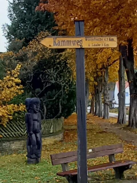 Münder Heerstraße Wennigsen Waldkater Skulptur "Mensch mit zwei Gesichtern" Kontinentalweg Afrika