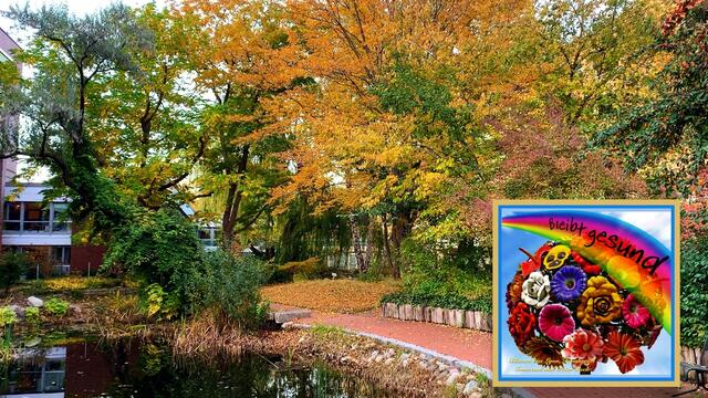 24. Oktober 2020. In unserem Park im GDA Hannover. Unser Entenpärchen ist wieder da! Bleibt gesund!