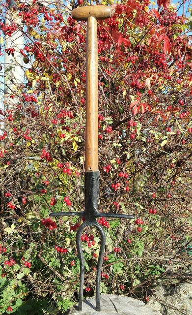 Handrübenroder, mit ihm wurden die Rüben im Erdboden gelockert. Vorgängermodelle hatten statt der Gabel ein Blatt von gleicher Größe.