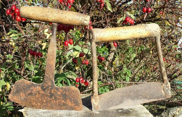 Drückmesser zum Abschneiden der Rübenblätter (Köpfe). Links älteres Modell. rechts modernere Version.