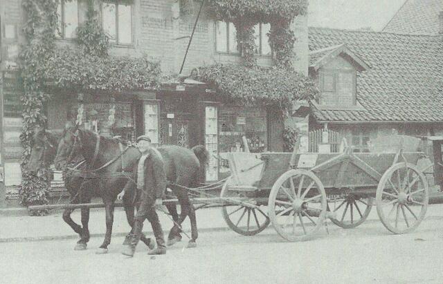 Mit solchen Gespannen wurden die Rüben zur Zuckerfabrik gefahren