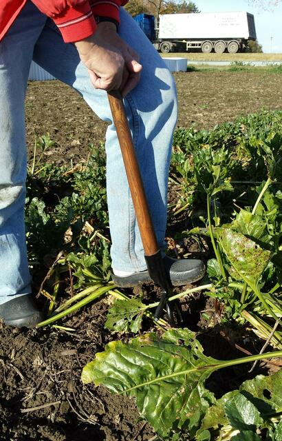 Einstechen des Handroders