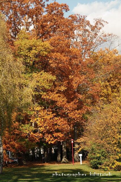..warme Herbstfarben....