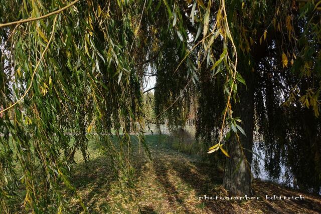 Schatten....