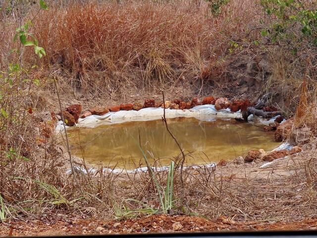 ein Versuch, ein Teich mit Folie, damit weniger Wasser ins Erdreich versickert