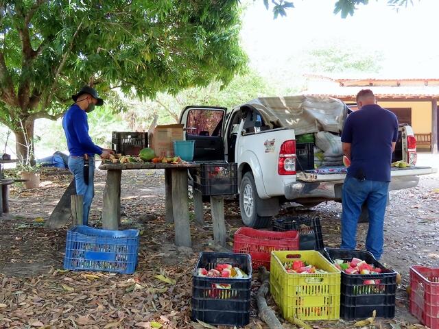 gearbeitet wird auf Campingtisch und Ladefläche des Pickup