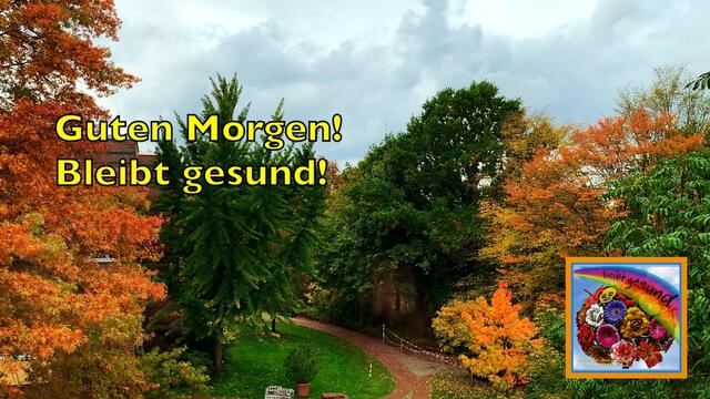 31. Oktober 2020. 
Guten Morgen 🌞😃 

Wir wünschen allen einen schönen Feiertag. 
Bleibt schön gesund!
🥰🥰👌👌👋👋
Unsere Tischdekoration. 🍀🍀👌👌