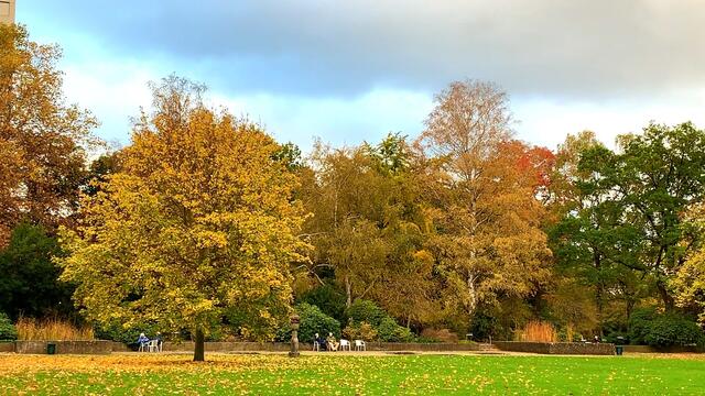 31. Oktober 2020. Herbstfarben I. im Stadtpark Hannover. Bleibt gesund!