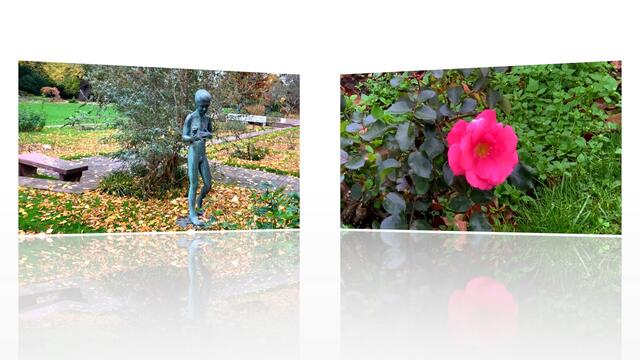 31. Oktober 2020. Herbstfarben I. im Stadtpark Hannover. Bleibt gesund!