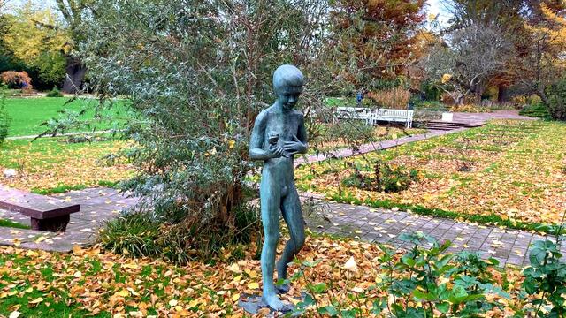 31. Oktober 2020. Herbstfarben I. im Stadtpark Hannover. Bleibt gesund!