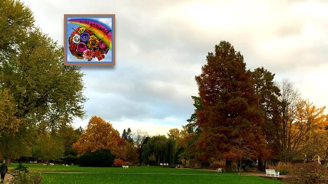 31. Oktober 2020. Herbstfarben II. im Stadtpark Hannover. Bleibt gesund!