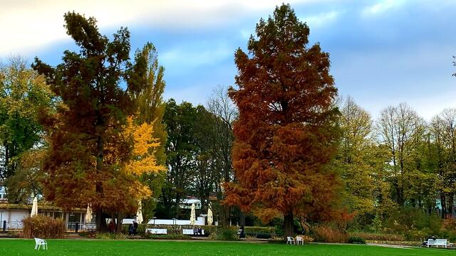 31. Oktober 2020. Herbstfarben II. im Stadtpark Hannover. Bleibt gesund!