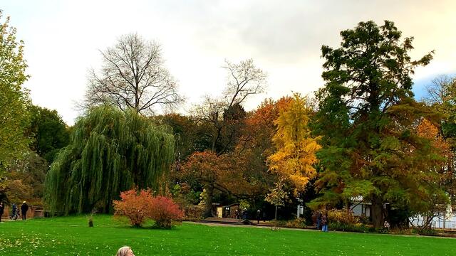 31. Oktober 2020. Herbstfarben II. im Stadtpark Hannover. Bleibt gesund!
