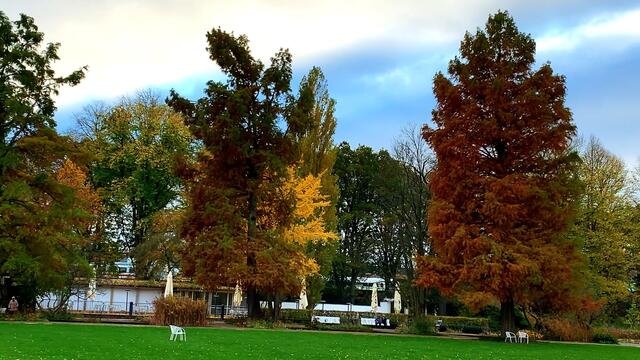 31. Oktober 2020. Herbstfarben II. im Stadtpark Hannover. Bleibt gesund!