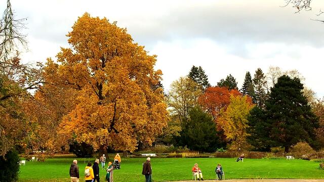 31. Oktober 2020. Herbstfarben II. im Stadtpark Hannover. Bleibt gesund!