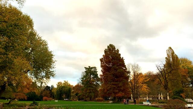 31. Oktober 2020. Herbstfarben II. im Stadtpark Hannover. Bleibt gesund!