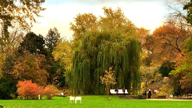 31. Oktober 2020. Herbstfarben II. im Stadtpark Hannover. Bleibt gesund!