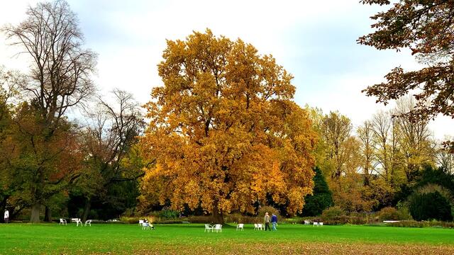 31. Oktober 2020. Herbstfarben II. im Stadtpark Hannover. Bleibt gesund!