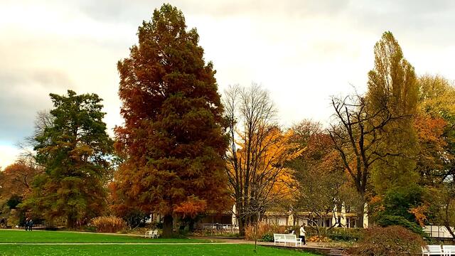 31. Oktober 2020. Herbstfarben II. im Stadtpark Hannover. Bleibt gesund!