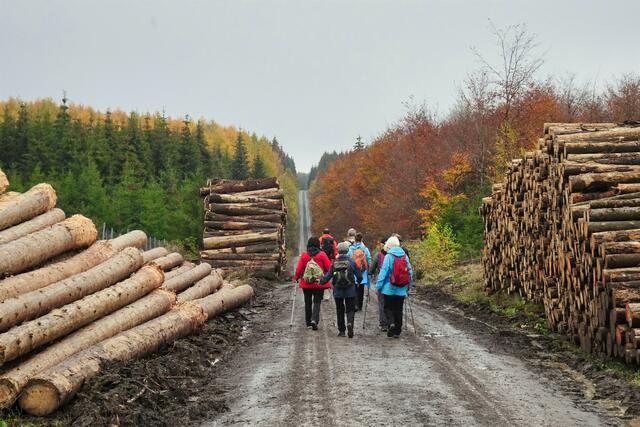 die "Lange" im Herbst
