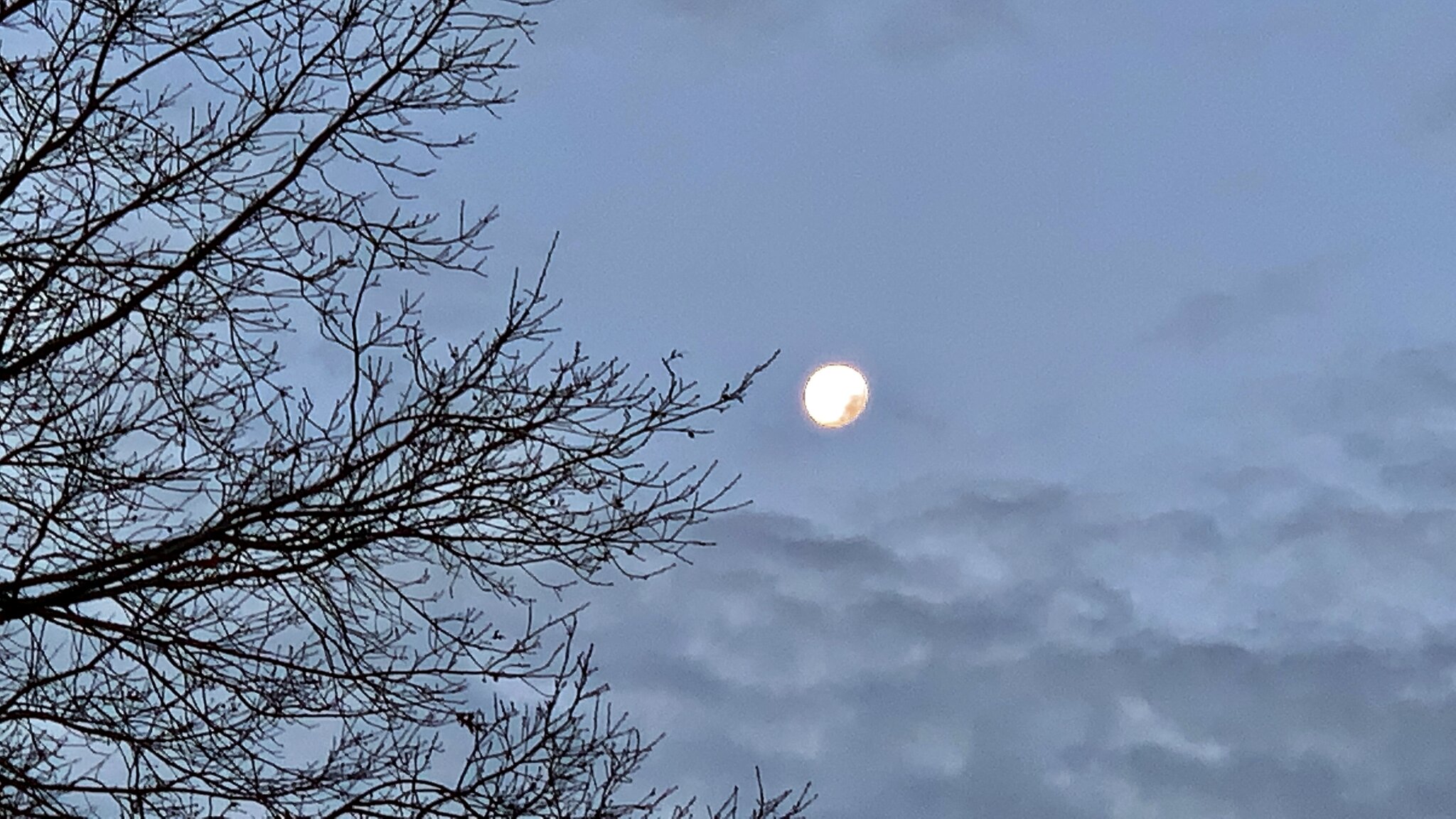 3. November 2020. Guten 😃🌞 Bleibt gesund! HannoverGroßBuchholz