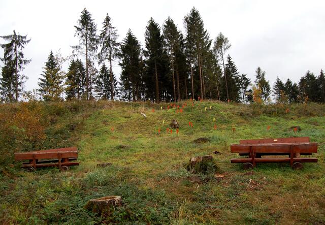 Und so sieht diese Höhe aus. Die Römer hatten keine Bänke zum Ausruhen. Sie wurden in ein wildes Kampfgeschehen verwickelt.