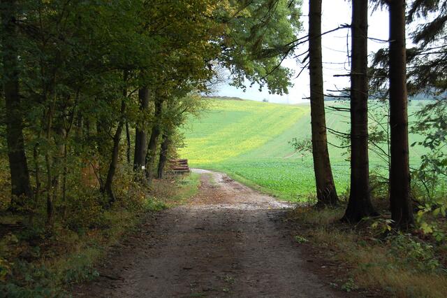 Doch dann machten sich die Römer auf den Rückweg. Über Hedemünden nach Mainz, wo es sicher zu einer großen Siegesfeier kam, aufgrund dessen Maximinus Trax bald darauf zum Kaiser gekrönt wurde.