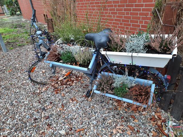 Lastenrad