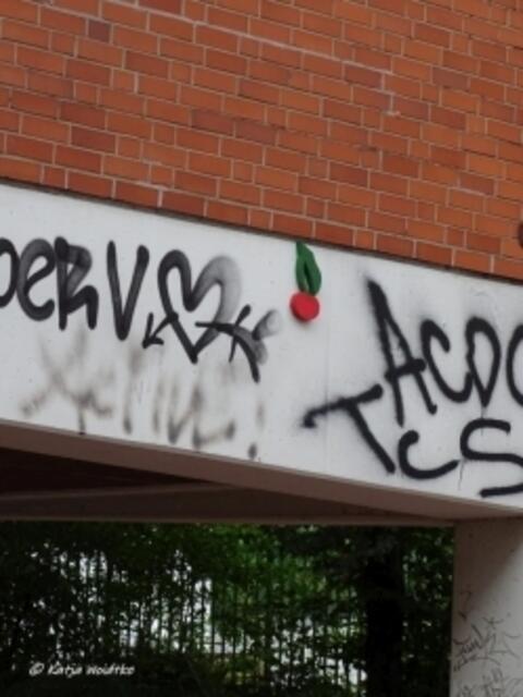 Kirsche in der Kochstraße in Hannover - Linden-Nord (Foto: Katja Woidtke)