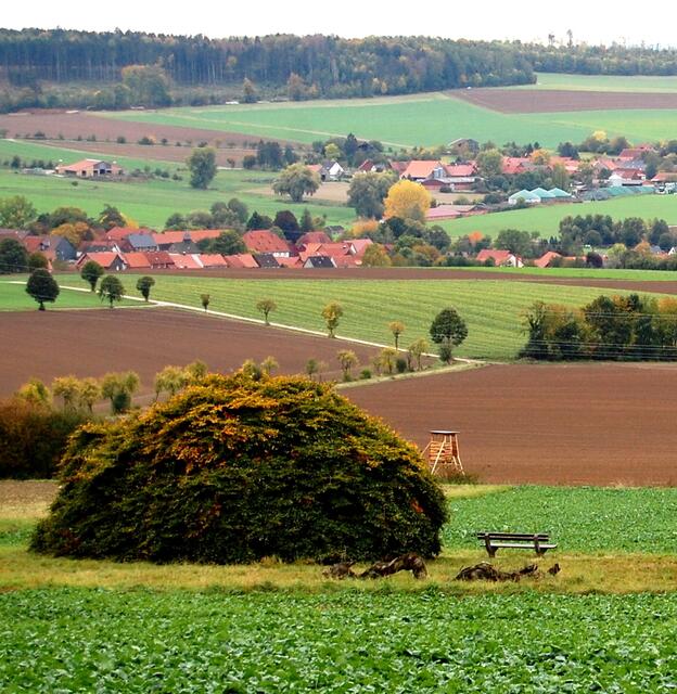 Heutzutage wird neben einem alten und sterbenden Baum ein neuer dieser Art angepflanzt.