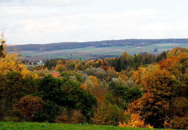Sie steht inmitten der Feldmark, kurz unter den bewaldeten Hängen des Heber. In der Bildmitte ist sie links des hellen Feldes oben am Waldrand und etwas unterhalb davon gerade so erkennbar.