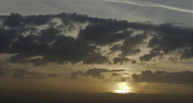 Am 8 November auf der Bergstraße in Recklinghausen-Ost fotografiert