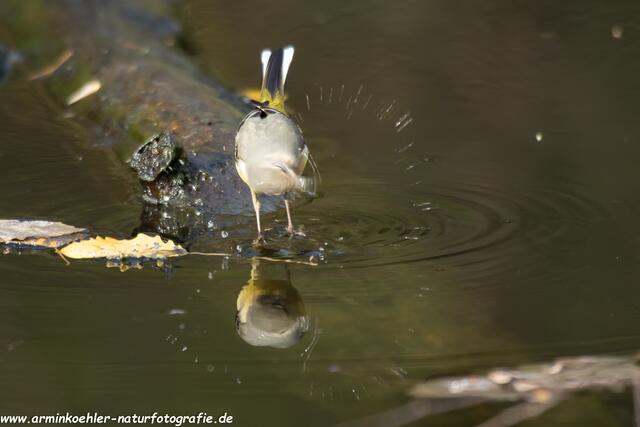 Etwas spritzig