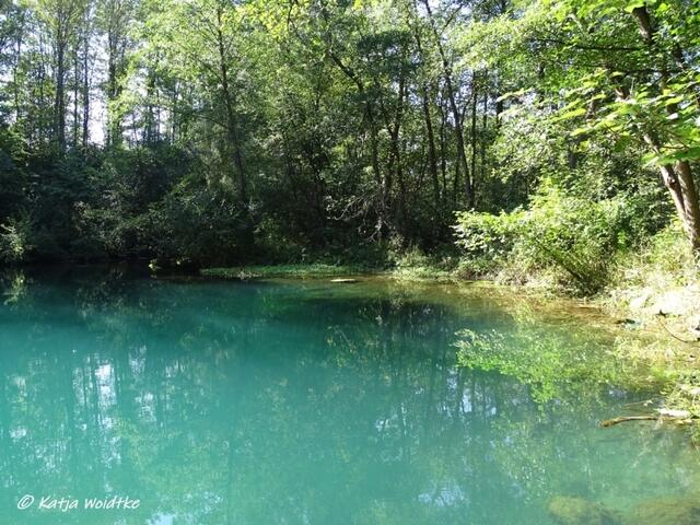 Türkis schimmert das Quellwasser der klaren Rhumequelle (Foto: Katja Woidtke) https://www.myheimat.de/rhumspringe/natur/sagenhafter-harz-von-der-nixe-rhuma-und-dem-beeindruckenden-naturdenkmal-rhumequelle-d2578498.html