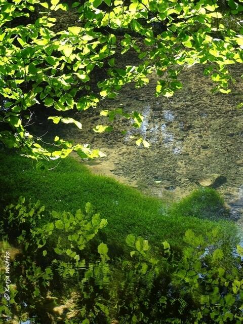 Auf der Suche nach der Nixe Rhuma an der Rhumequelle (Foto: Katja Woidtke) https://www.myheimat.de/rhumspringe/natur/sagenhafter-harz-von-der-nixe-rhuma-und-dem-beeindruckenden-naturdenkmal-rhumequelle-d2578498.html