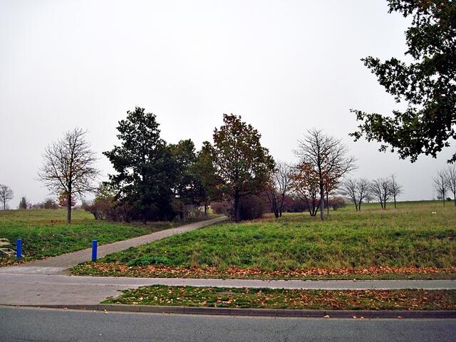 Gepflegte Landschaft auf der anderen Straßenseite