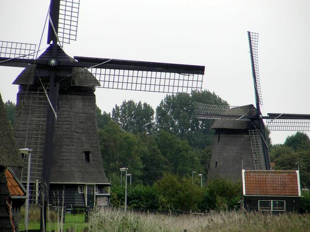 Poldermühlen bei Alkmaar