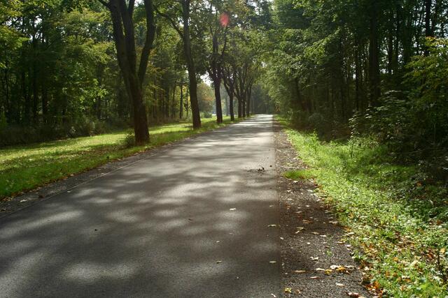 Die alte B 243 zwischen Nüxei und Mackenrode wurde inzwischen zurück gebaut und für Radfahrer und dem landwirtschaftlichen Verkehr freigegeben.