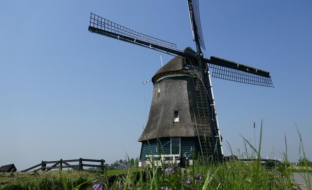 Mühle auf Texel