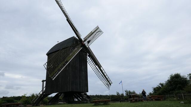 Bockwindmühle in Pudagla auf Usedom