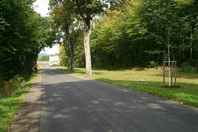 Die alte B 243 zwischen Nüxei und Mackenrode wurde inzwischen zurück gebaut und für Radfahrer und dem landwirtschaftlichen Verkehr freigegeben.