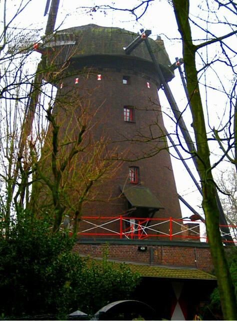 Mühle in Donk