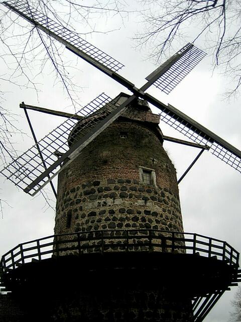 Mühle in Zons