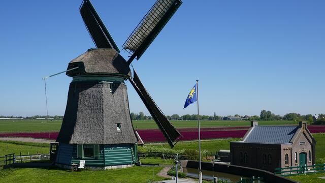 Mühle auf Texel