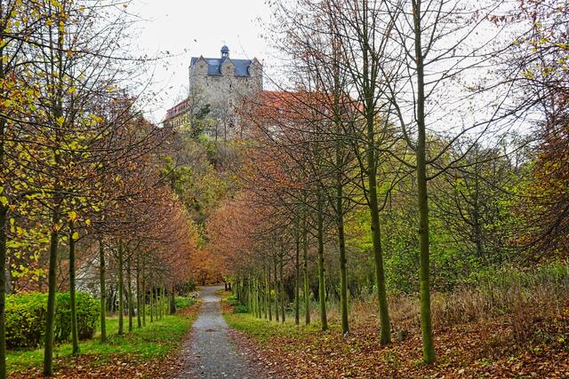 Schlosspark mit Westseite des Ballenstedter Schlosses mit dem Westportal des ehemaligen Benediktinerklosters